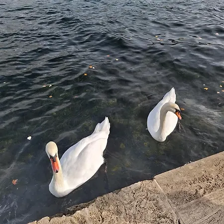 Retro Chic Apartament Argostoli (Kefalonia)