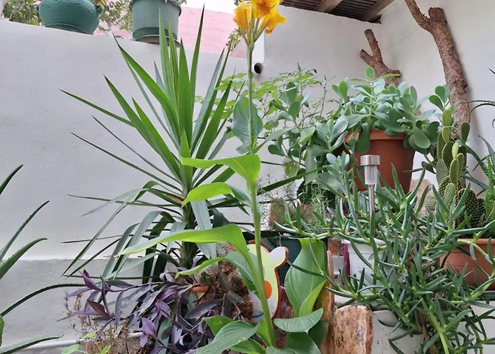 Apartament Retro Chic *