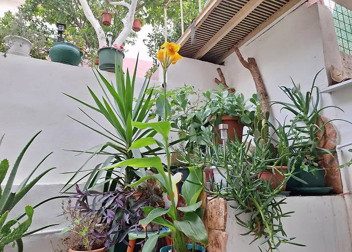 Apartament Retro Chic Argostoli (Kefalonia)