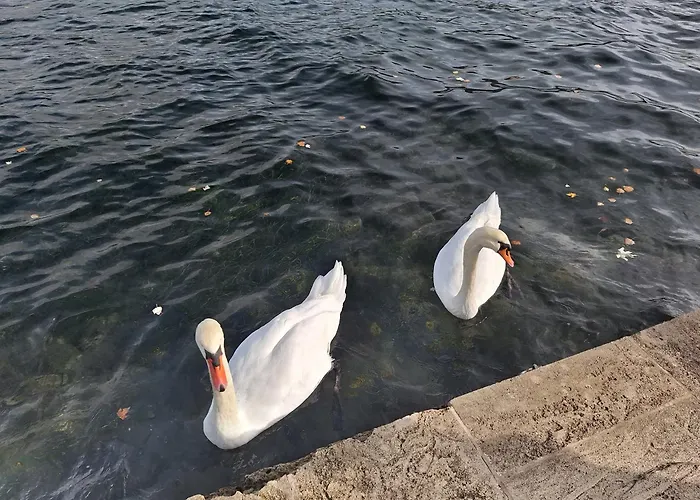 Retro Chic Apartament Argostoli (Kefalonia)