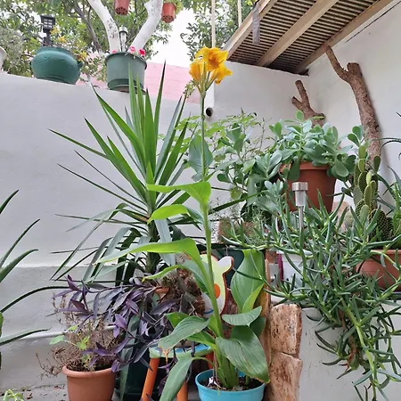 Apartment Retro Chic *