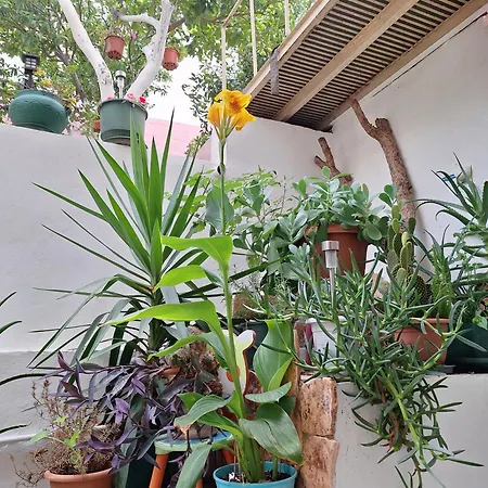 Appartement Retro Chic Argostoli (Kefalonia)